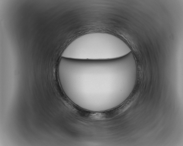 X0000116890269200912221010
