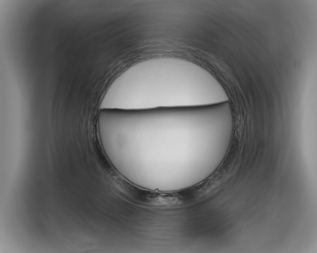 X0000116890270200912221010
