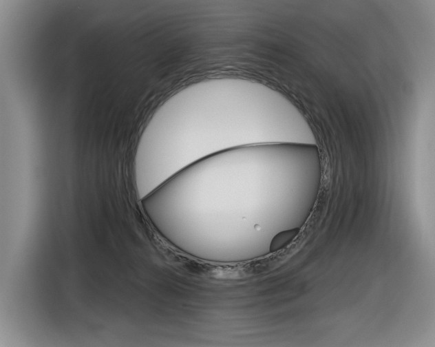 X0000116890272200912221010
