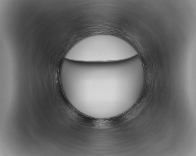 X0000116890273200912221010