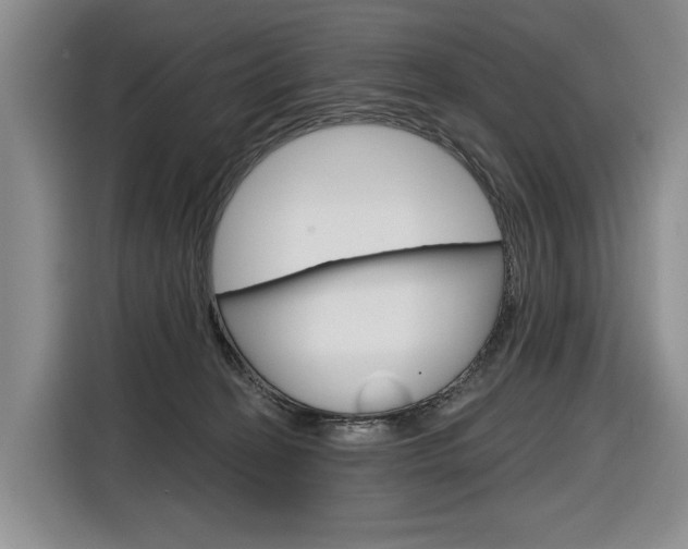 X0000116890274200912221010