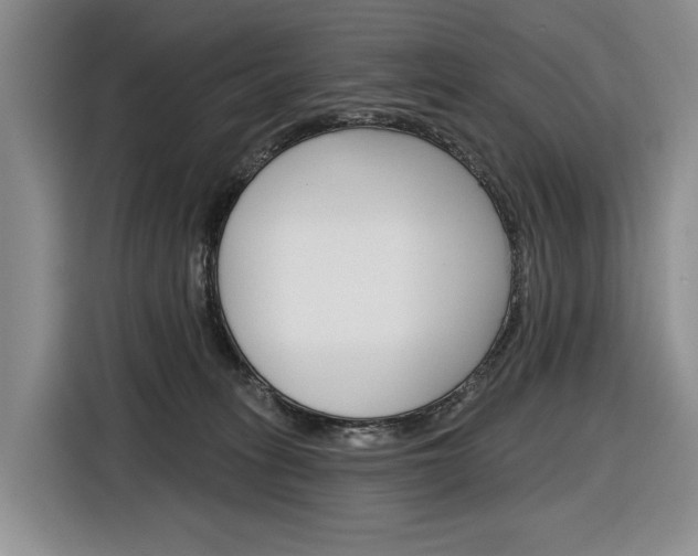 X0000116890275200912221010