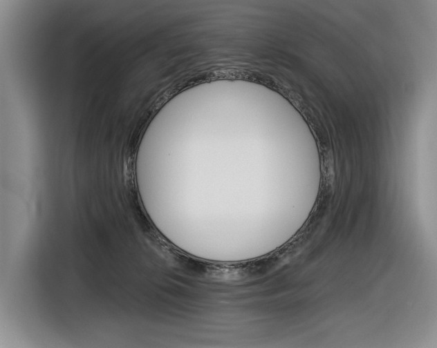 X0000116890276200912221010