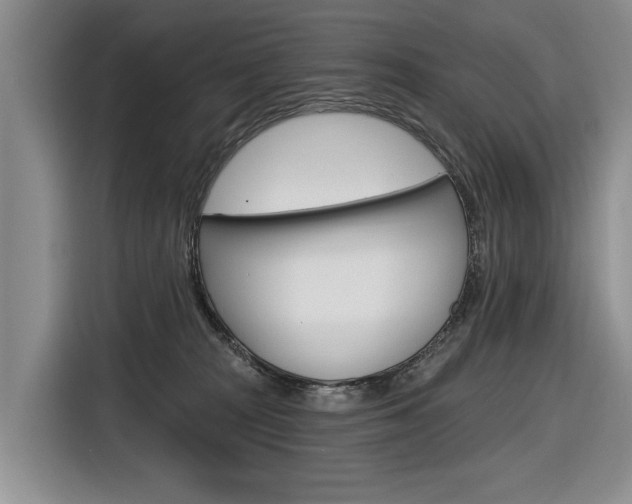 X0000116890277200912221010