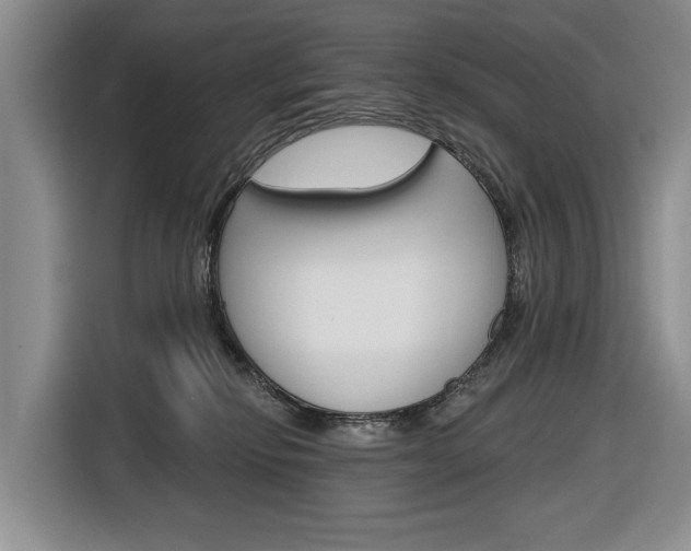 X0000116890278200912221010