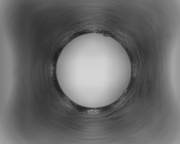 X0000116890279200912221010