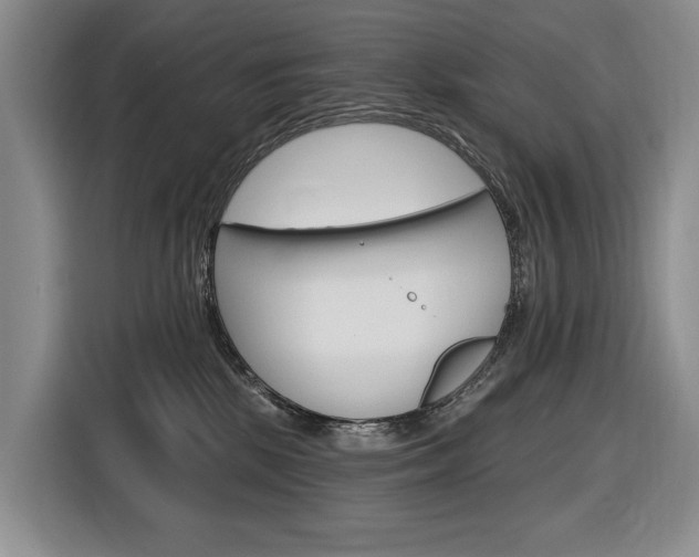 X0000116890281200912221010
