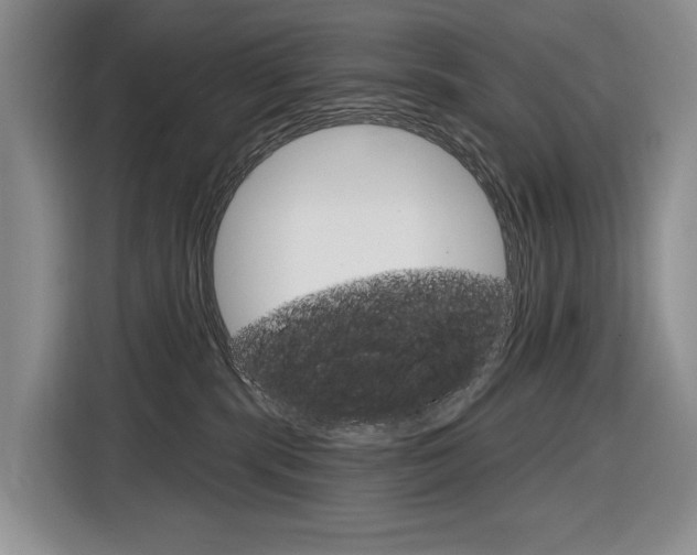 X0000116890283200912221010