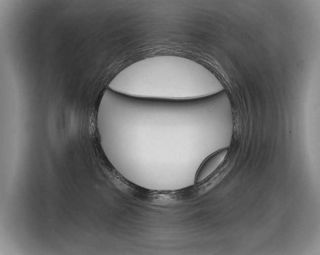 X0000116890285200912221010
