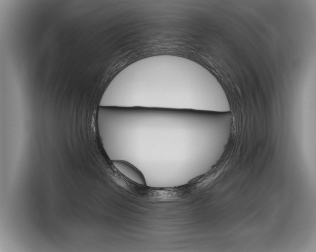 X0000116890286200912221010