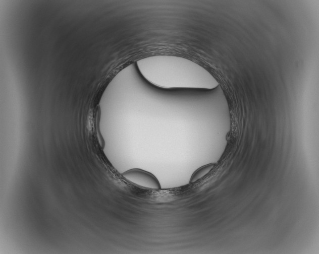X0000116890287200912221010