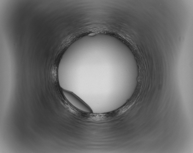 X0000116890288200912221010
