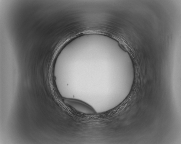 X0000116890289200912221010