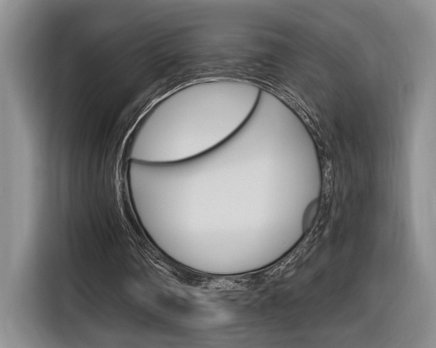 X0000116890290200912221010