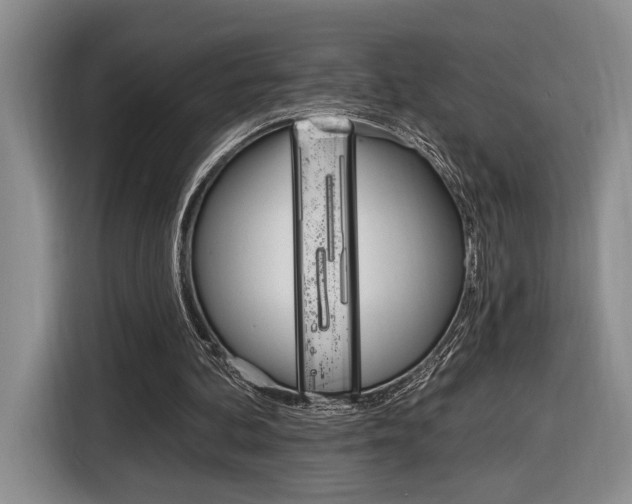 X0000116890292200912221010