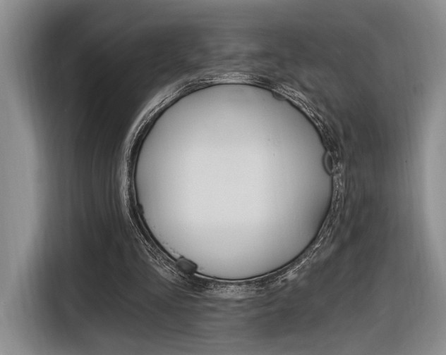 X0000116890293200912221010