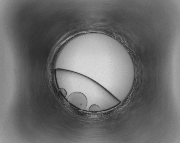 X0000116890295200912221010