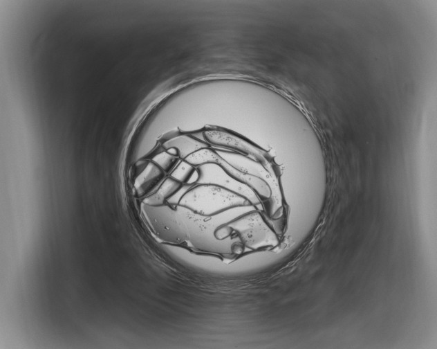 X0000116890296200912221009