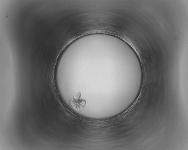 X0000116890297200912221009