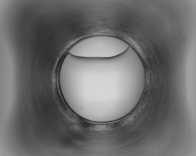 X0000116890298200912221009