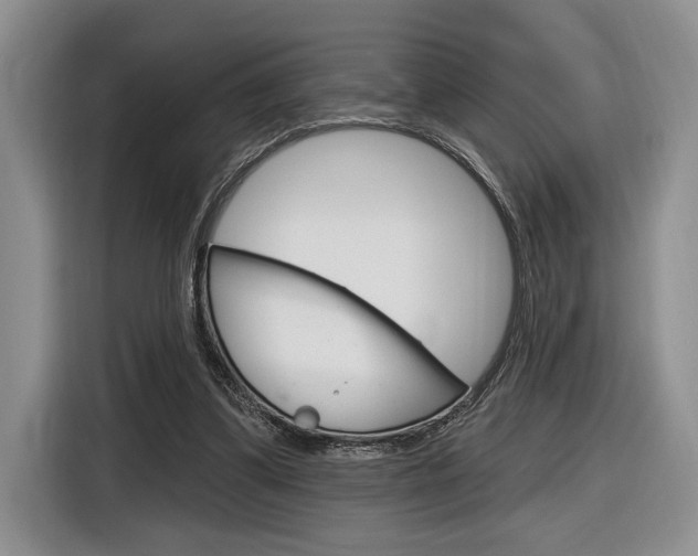 X0000116890299200912221009