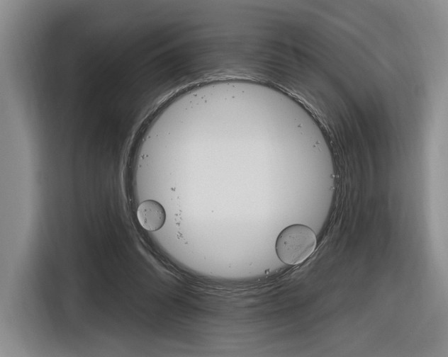 X0000116890302200912221009