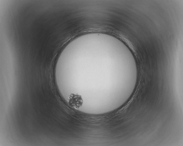 X0000116890305200912221009