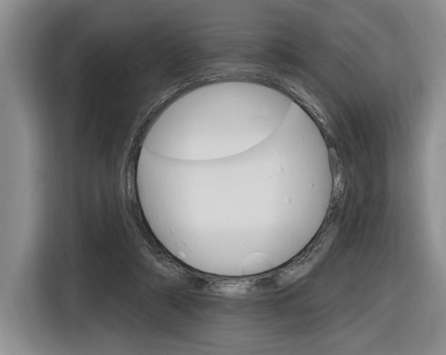 X0000116890306200912221009