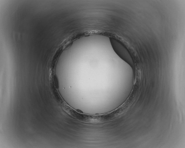 X0000116890308200912221009