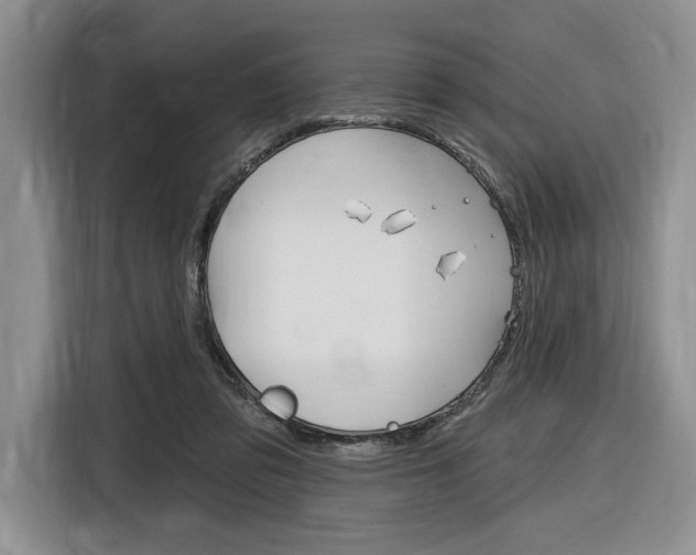 X0000116890309200912221009