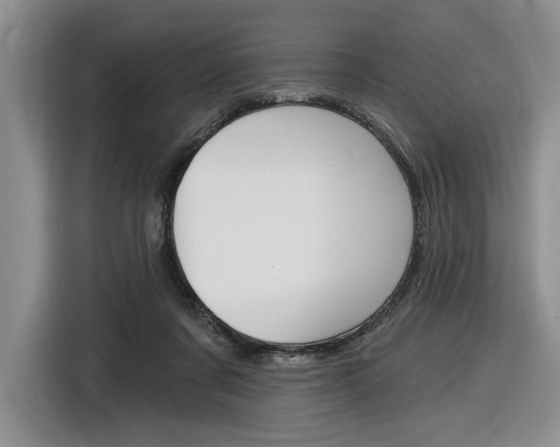 X0000116890311200912221009