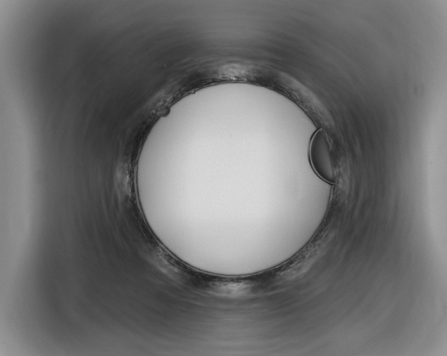 X0000116890313200912221009