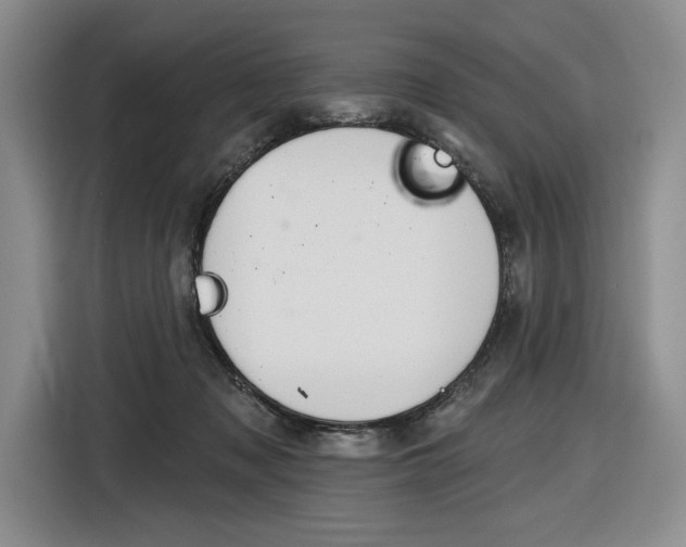 X0000116890317200912221009
