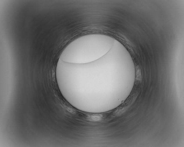 X0000116890318200912221009
