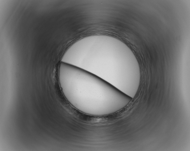 X0000116890319200912221009