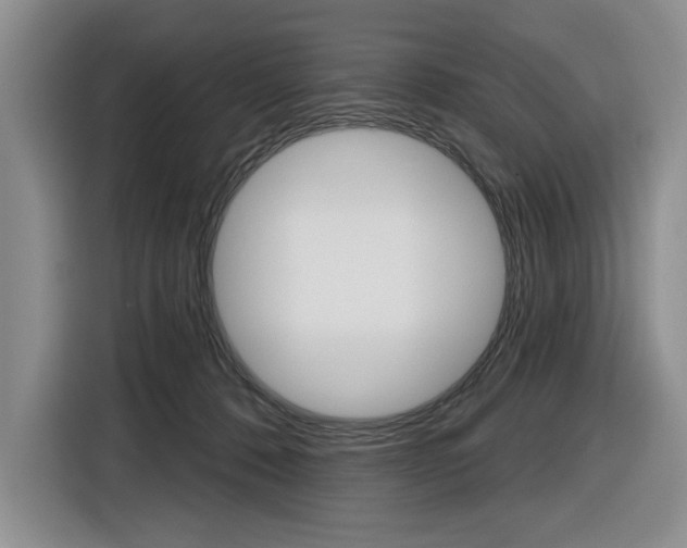 X0000116890320200912221009
