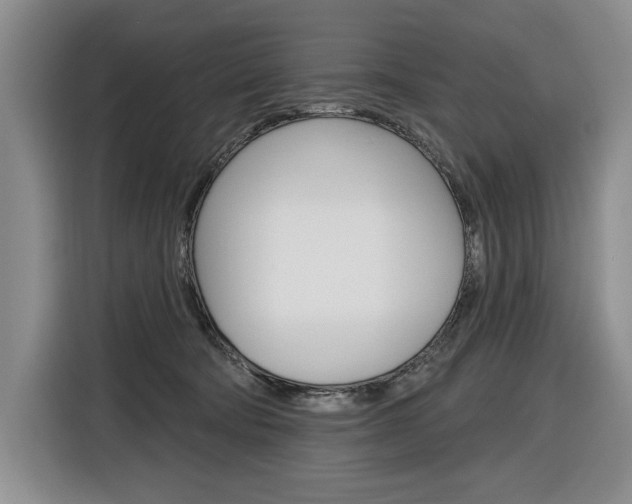 X0000116890322200912221009