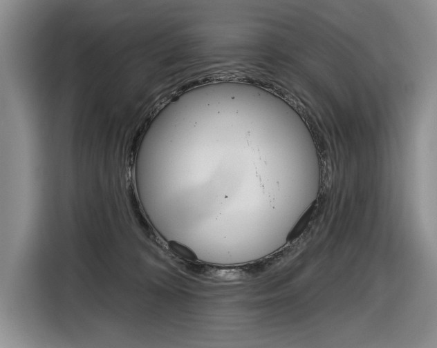 X0000116890324200912221009