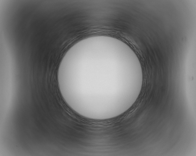 X0000116890325200912221009