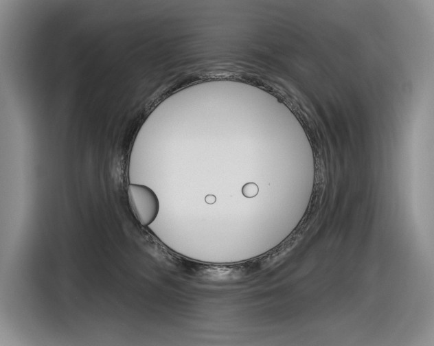 X0000116890326200912221009