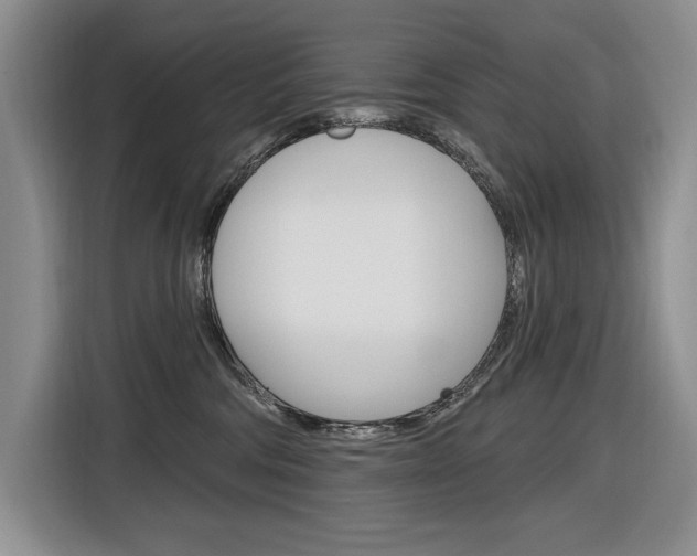 X0000116890330200912221009