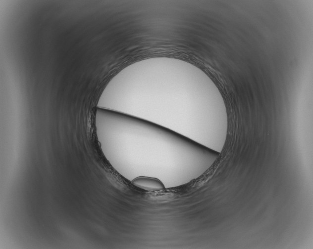 X0000116890331200912221009