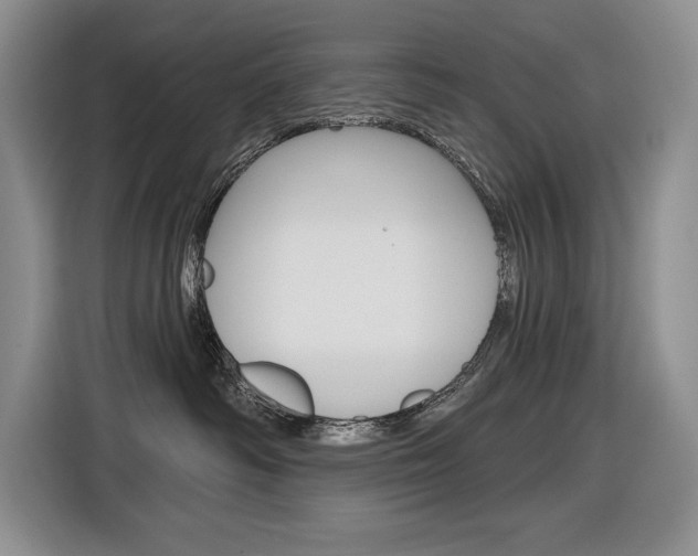X0000116890334200912221009