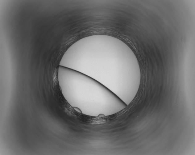 X0000116890335200912221009