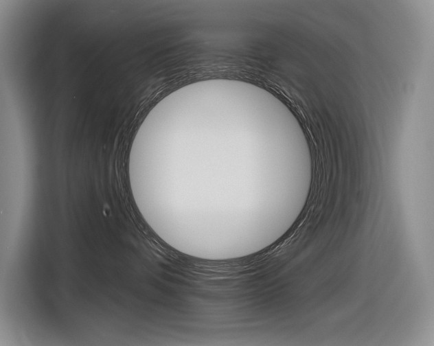X0000116890336200912221009