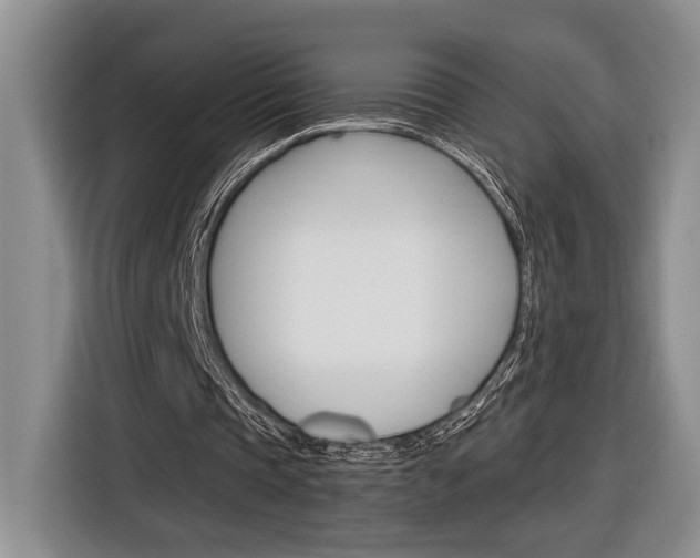X0000116890337200912221008