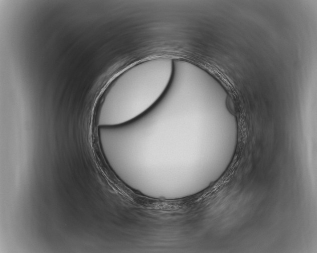 X0000116890338200912221008
