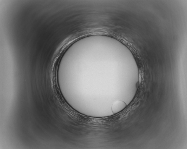 X0000116890339200912221008