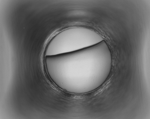 X0000116890341200912221008