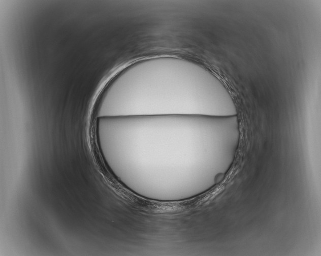 X0000116890342200912221008